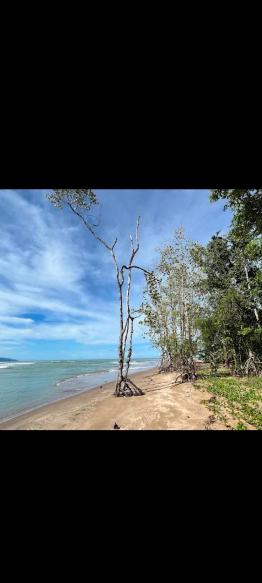 The Mangrove Villa Sematan Eksteriør bilde